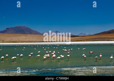 Die atemberaubende Landschaft zwischen San Pedro de Quemez und Ojo de Perdiz, Bolivien Stockfoto