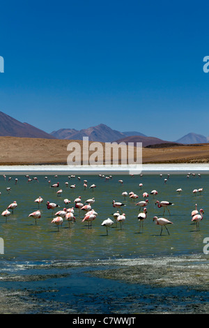 Die atemberaubende Landschaft zwischen San Pedro de Quemez und Ojo de Perdiz, Bolivien Stockfoto