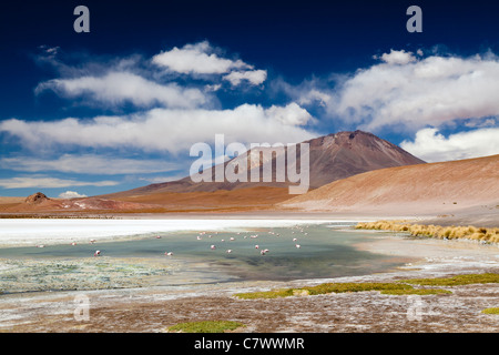 Die atemberaubende Landschaft des bolivianischen Altiplano, zwischen San Pedro de Quemez und Ojo de Perdiz Stockfoto