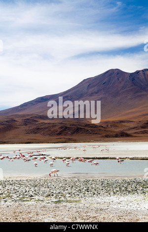 Die atemberaubende Landschaft des bolivianischen Altiplano, zwischen San Pedro de Quemez und Ojo de Perdiz Stockfoto