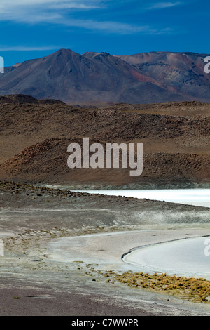 Die atemberaubende Landschaft des bolivianischen Altiplano, zwischen San Pedro de Quemez und Ojo de Perdiz Stockfoto