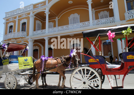 Granada Nicaragua, Mittelamerika, Granada Square, Calle Vega, koloniales Erbe, historisches Viertel, Architekturbalkon, helle Farben, Fassade, Pferdegezogenes Stockfoto