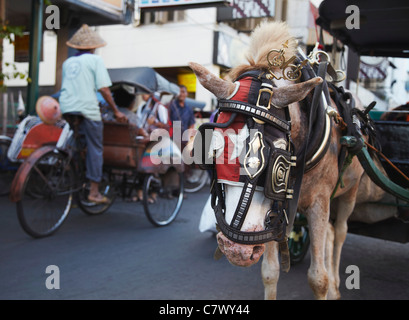 Pferdekutsche, Yogyakarta, Java, Indonesien Stockfoto