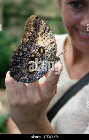 Junge Frau mit einer Eule Schmetterling auf der Hand. Benalmadena Schmetterlingspark, Benalmadena Pueblo, Málaga, Costa Del Sol, Spanien. Stockfoto