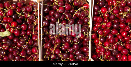 Kirsche rote Früchte in hölzernen Körben auf dem Markt Stockfoto