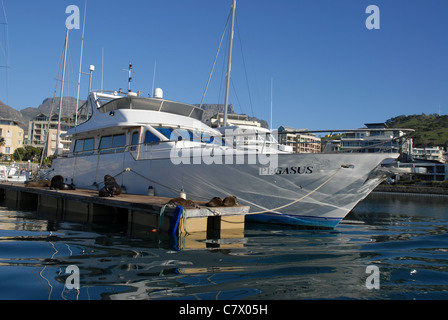 Eigenes Boot in der Marin, Cape Town, Western Cape, Südafrika Stockfoto