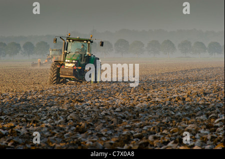 Traktor im Feld-Hof. Stockfoto