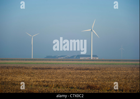 Windkraftanlagen auf Bauernhof Stockfoto