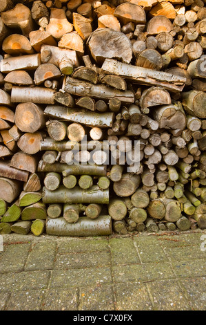 Getrocknetes Holz aufgestapelt für den Winter, Niederlande Stockfoto