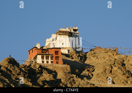 Festung und Tempel, Namgyal Tsemos Gompa, auf dem Gipfel des Sieges über Leh.  Namgyal Tsemos Gompa, Leh, Ladakh, Stockfoto