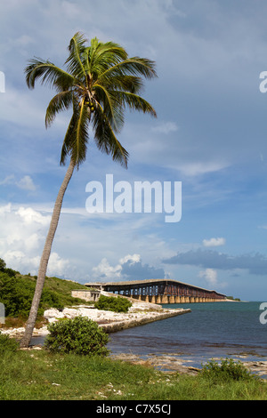 Kokospalme beugt das Wasser bei Bahia Honda Key in den Florida Keys mit einer alten Brücke im Hintergrund. Stockfoto