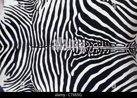 Zebra Haut Lederstruktur gemalt von einer Kuh Stockfoto