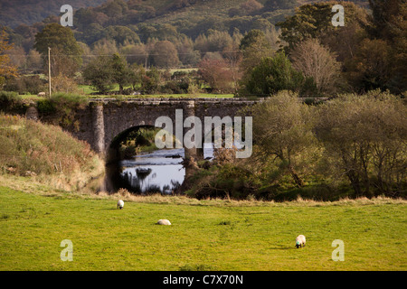 Irland, Co. Wicklow, Glenmalure, Drumgoff, Schafbeweidung von Avonbeg River bridge Stockfoto