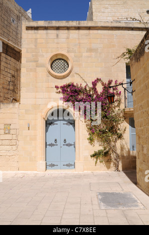 Großen Bougainvillea Baum wächst durch die Tür in das Dorf von Mdina, Malta. Stockfoto