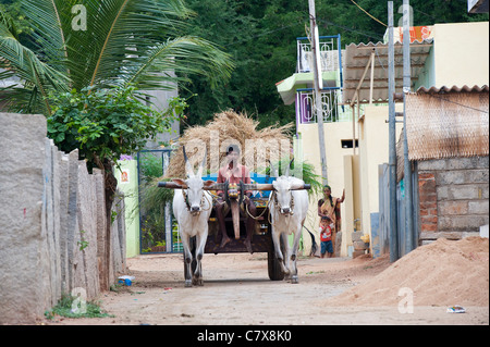 Indische Ochsenkarren und Fahrer, die Transport von Pflanzen durch einem indischen Dorf.  Andhra Pradesh, Indien Stockfoto