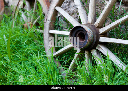 alte Wagenräder in Rasen Stockfoto