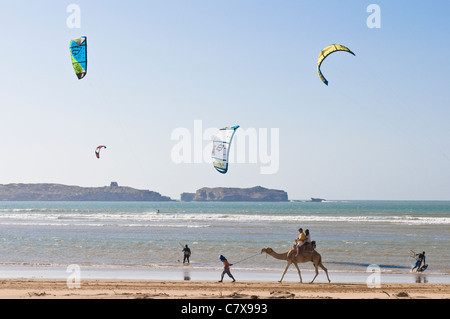 Kite-Surfen und Kamel am Strand von Essaouira, Marokko Stockfoto