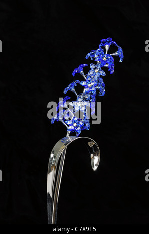 Swarovski Iris/Hyazinthe Blüte, Costa Del Sol, Provinz Malaga, Andalusien, Südspanien, Westeuropa. Stockfoto