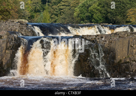 Geringe Kraft, Teesdale, County Durham Stockfoto