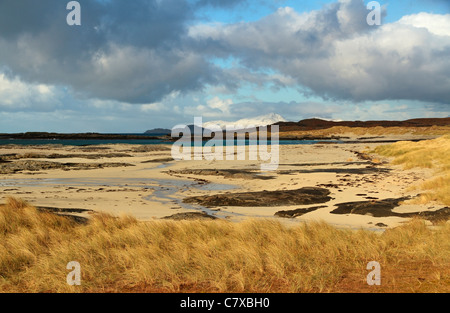 Sanna Bay, Marram Grass oder Bearchgrass auf dem Portuaik nach Sanna Coastal Walk, Ardnamurchan, Schottland, Vereinigtes Königreich Stockfoto