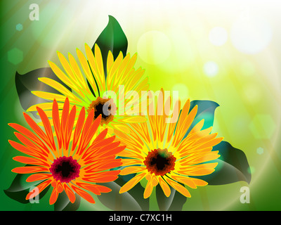 Blumen und Licht abstrakt, Vektor-Illustration Kunst; Bild enthält Verlaufsgitter und Transparenz Stockfoto
