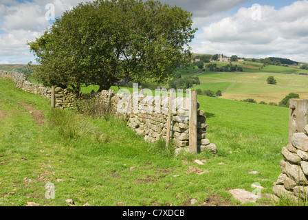 Middlesmoor in Nidderdale, Yorkshire, Großbritannien Stockfoto