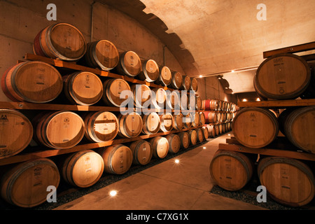 Kanada, Ontario, Niagara-on-the-Lake, Weinkeller in Jackson Triggs Winery Stockfoto