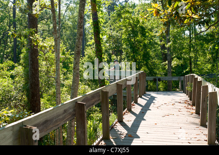 Ocean Springs, Mississippi Gulf Islands National Seashore, Davis Bayou, Aussichtsplattform Herr Stockfoto