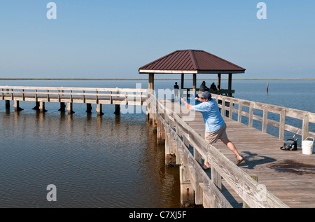 Ocean Springs, Mississippi Gulf Islands National Seashore, Davis Bayou, Angelsteg, Fischer Netz auswarf, Köderfische zu fangen Stockfoto