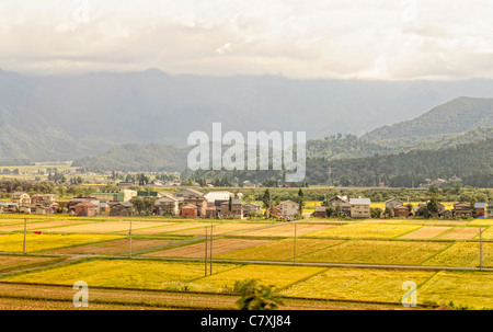 Blick auf die Landschaft in Japan zeigt Reisfelder im Herbst / Herbst mit Bergen (Japanische Alpen) im Hintergrund. Stockfoto