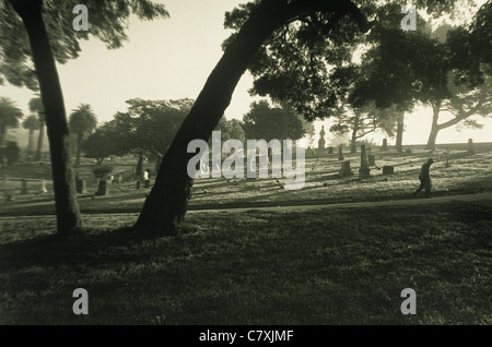 Ältere männliche Figur, die zu Fuß in Friedhof unter Bäumen Stockfoto