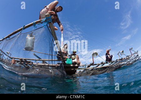 Fischer-Feeds Walhai, Rhincodon Typus, Cenderawashi Bay, West Papua, Indonesien Stockfoto