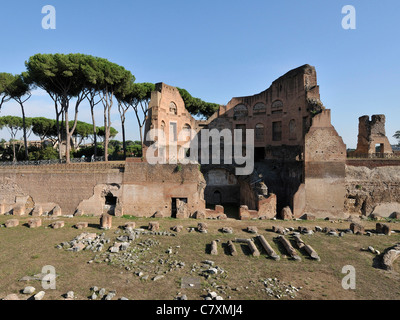 Stadion des Domitian Palatin Rom Italien. Stockfoto