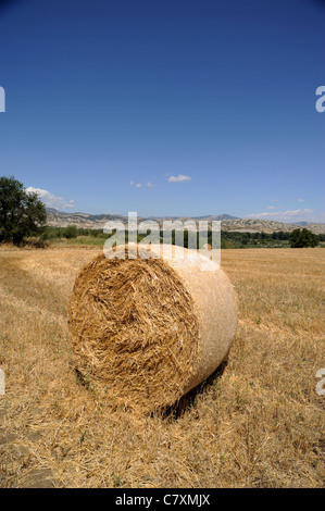 Italien, Basilicata, Land, Agrital, Heuballen Stockfoto