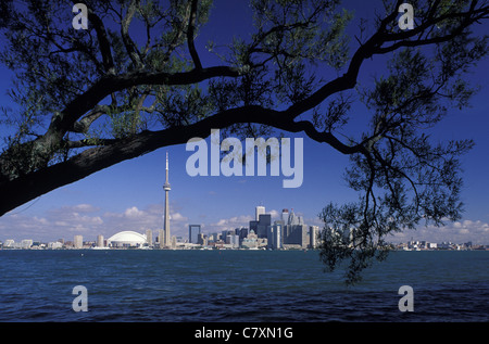 Kanada, Ontario, Toronto: Skyline der Stadt Stockfoto