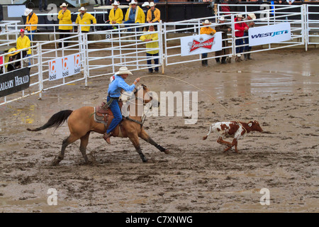 Kalb Roping Event bei der Calgary Stampede, Alberta, Kanada Stockfoto