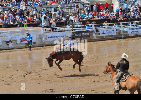 Sattel Bronc Reiten Veranstaltung bei der Calgary Stampede, Kanada. Stockfoto