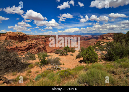 Shafer Canyon Overlook, Canyonlands National Park, Utah. Stockfoto