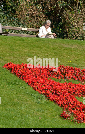 Ältere Dame sitzt auf einer Parkbank vor Plymouth Blumenbeet Stockfoto