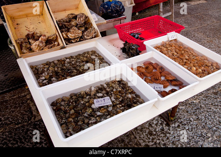 Traditionelle Fish shop Verkauf Meeresfrüchte Vucciria, Altmarkt in Palermo, Sizilien, Sicilia, Italien Stockfoto