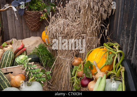 Somerset stolz, Designer Mark Walker, Walkers Garten Retreats. Best vergeben In Show; Silber vergoldet Flora Stockfoto