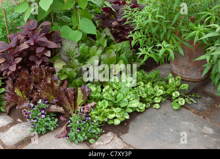 Der alte Brennofen Hof-Designer Paul Taylor, Alchemie Gärten, vergeben Silber vergoldet Flora Sponsor Cottage Herbery Stockfoto