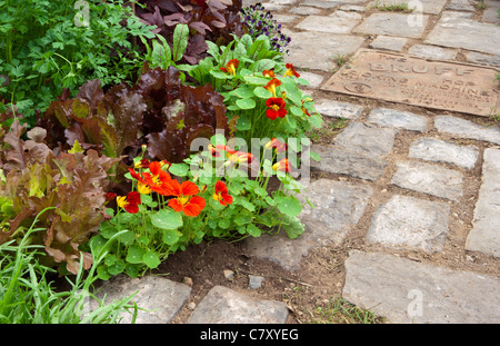 Der alte Brennofen Hof-Designer Paul Taylor, Alchemie Gärten, vergeben Silber vergoldet Flora Sponsor Cottage Herbery Stockfoto