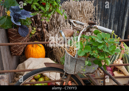 Somerset stolz, Designer Mark Walker, Walkers Garten Retreats. Best vergeben In Show; Silber vergoldet Flora Stockfoto