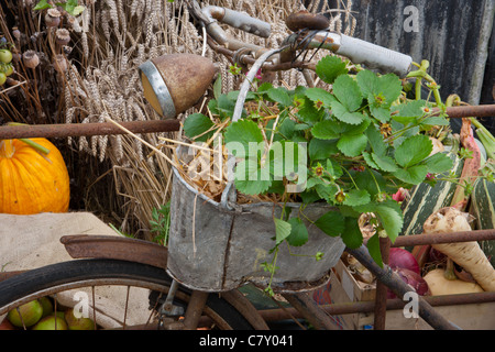 Somerset stolz, Designer Mark Walker, Walkers Garten Retreats. Best vergeben In Show; Silber vergoldet Flora Stockfoto