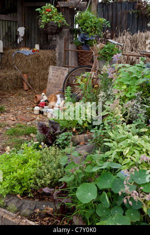 Bio-Kräuter, die in Autoreifen wachsen Hochbeete in einem alten Bauernhof mit Tomaten, die in Hängekörben wachsen UK England Malvern Spring Show Stockfoto