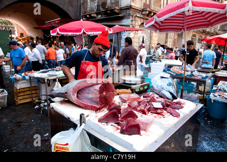 Traditionelle Fish shop Verkauf Meeresfrüchte am alten Markt in Catania, Sizilien, Sicilia, Italien Stockfoto