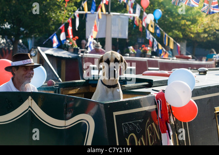 Deutsche Dogge Canis Lupus Familiaris Deutsche Dogge an einem Kanal Lastkahn auf dem Kanal Tag Festival in Banbury Stockfoto