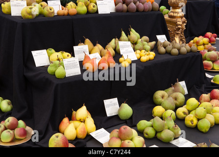 Erbe britischer Apfel und Birne Display am Malvern Herbst show 2011 Stockfoto