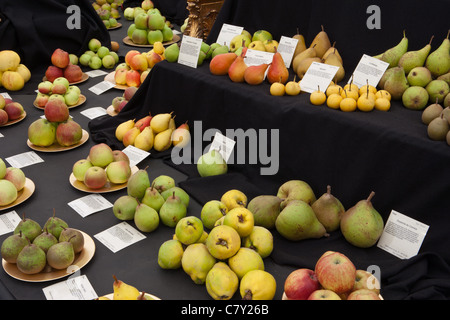 Erbe britischer Apfel und Birne Display am Malvern Herbst show 2011 Stockfoto